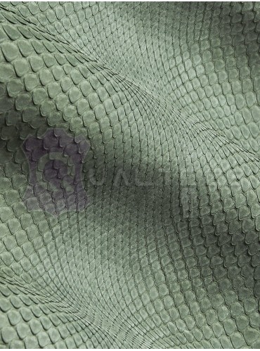 натуральная кожа питона Nubuck  | Цвет: Зеленый